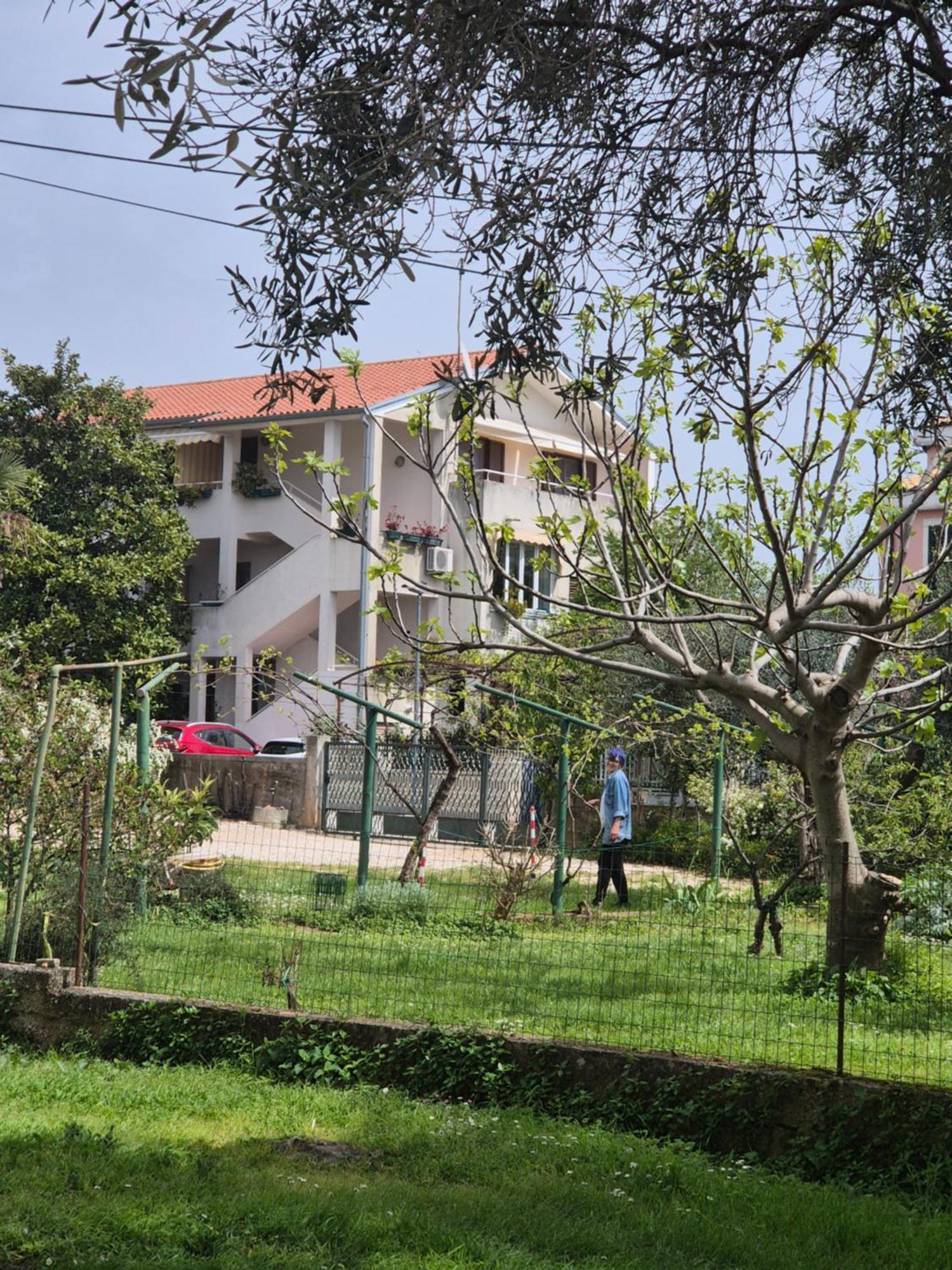 Apartments Villa Martinuzzi Ρόβινι Εξωτερικό φωτογραφία